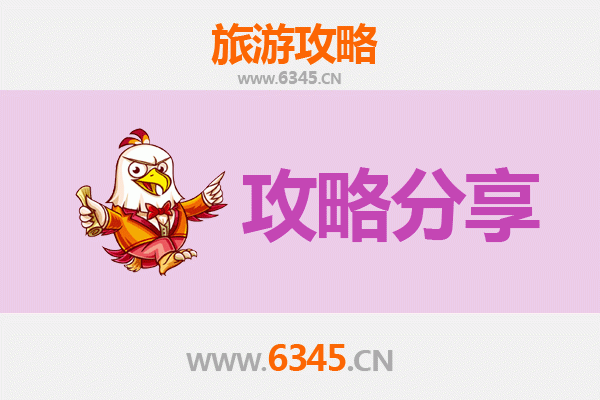 吴忠利通至湄洲岛旅游攻略：跟团还是自由行深度解析
